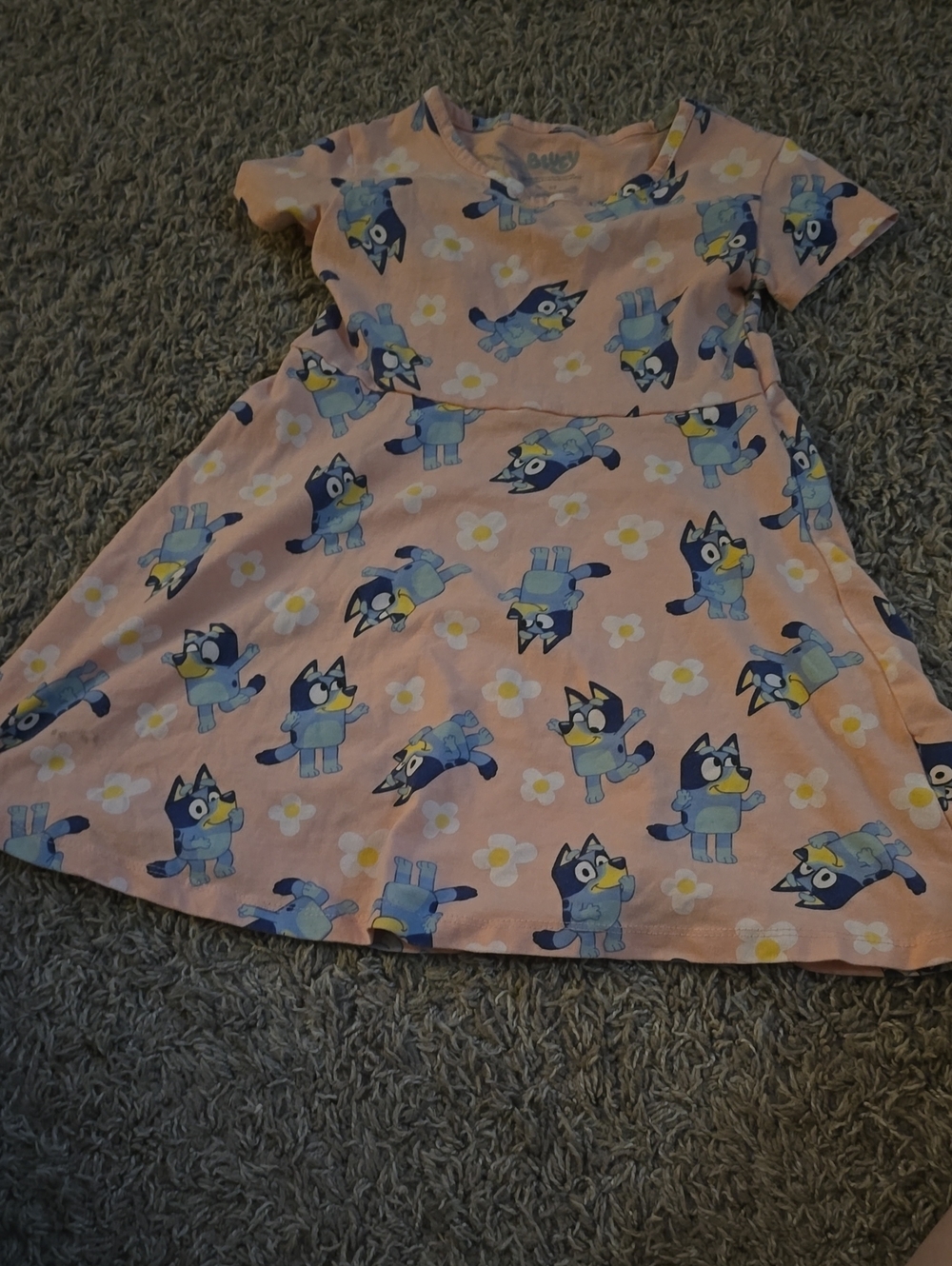 Bluey Print Short Sleeve Dress